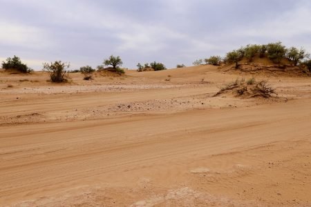 Randonnée dans le désert Marocain : Aventure Unique à Dos de Dromadaire