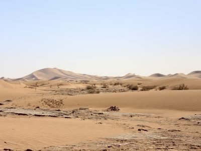 voyage dans le désert marocain