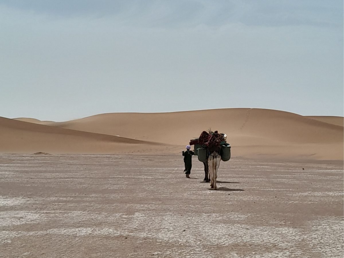 Randonnée dans le désert Marocain